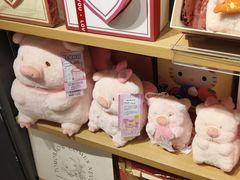 -九木杂物社(东方宝泰店)