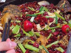 -老板恋上鱼(恒隆广场店)