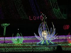 -巨鹏飞梦幻海岸