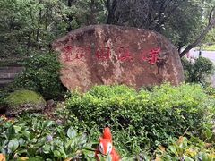 -吉林市朱雀山国家森林公园