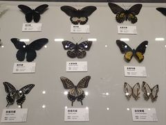 -四川大学博物馆