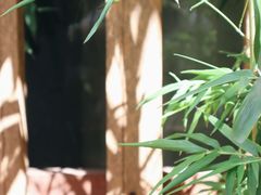 -觀芷隐轩