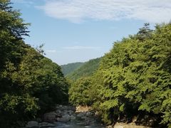 -光雾山旅游景区