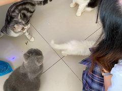 -平行世界·猫咖(首经贸店)