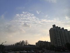 -卜蜂莲花(杨高北路店)