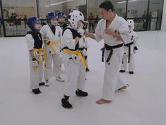 -极真空手道修远道场