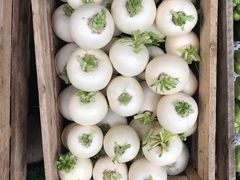 -王家渡火锅店(棕榈泉店)