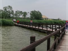 -西青郊野公园
