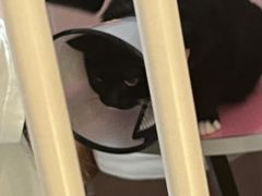 -猫苑生活馆