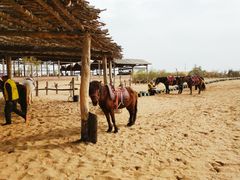 -黄沙古渡原生态旅游区