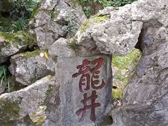 -龙井村