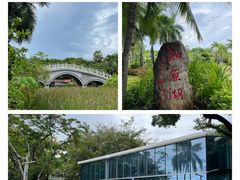 -新鸿港水果市场