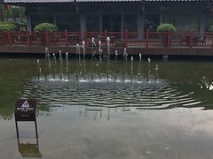 -唐城墙遗址公园