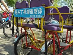 -丁香湖公园