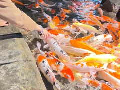 -海合安青岛极地海洋公园