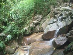 -火炉山森林公园