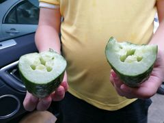 -翠茗农庄土菜馆(天目湖店)