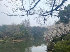 -杭州植物园