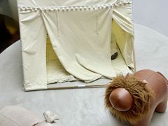 -红舞鞋舞蹈教育(近江校区)