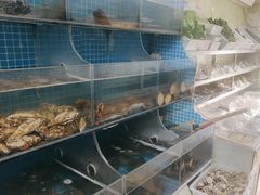 -宾朋海鲜饭庄(兴海路店)