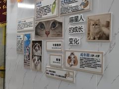 -瑞鹏瑞爱宠物医院·全科·猫科·血液透析中心(龙头寺店)