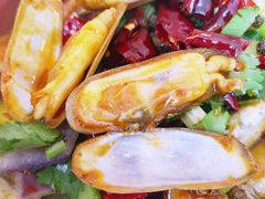 -降龙爪爪(建设路1店)