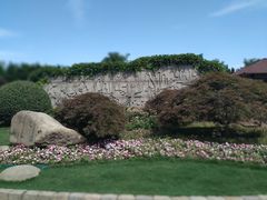 -嘉定紫藤园