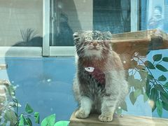 -青藏高原野生动物园