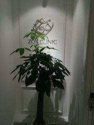 -紫御国际抗衰ZOE ANTI AGING