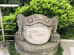 -活水公园