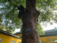 -虞山风景区