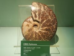 -甘肃省博物馆