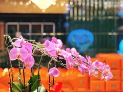 -京宴点心局