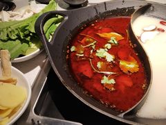 -新辣道鱼火锅(西直门店)