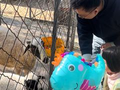 -长白岛森林公园