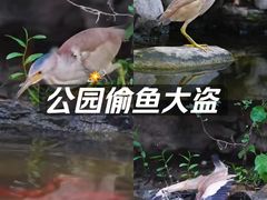 -太阳宫公园