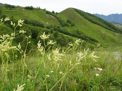 -灵山