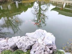 -常熟方塔园