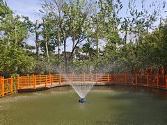 -太阳宫公园