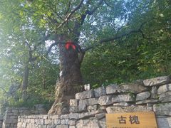 -井塘古村