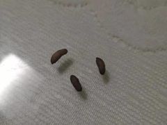 -龙湾海鲜渔村餐厅(亚龙湾店)