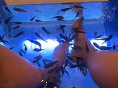 -汤连得温泉馆(宝山店)