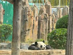 -大连森林动物园