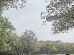 -桂林灵渠景区