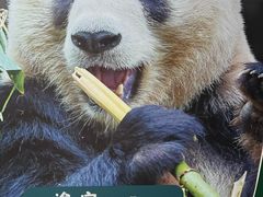 -无锡动物园·太湖欢乐园