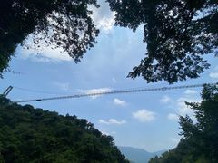 -南丹山森林王国