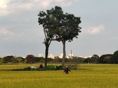 -嘉北郊野公园