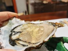 广岛安芸津生蚝-隐味(金盛时代店)