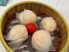 -潮江春(阳光店)