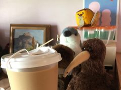 红豆沙拿铁-Line 咖啡(石厦花园店)